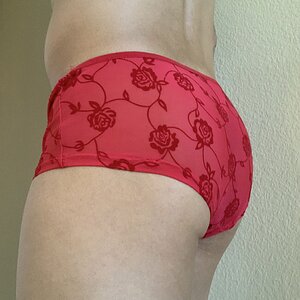 Red flowery panties (back)
