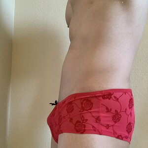 Red flowery panties (front)