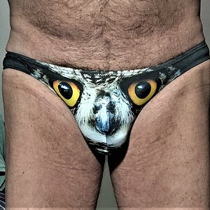 Owl Hawk briefs - front view