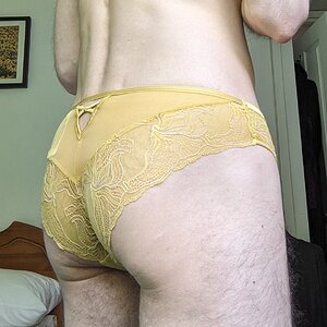 Gold satin and lace panties