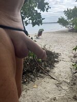 IMG_1274.jpeg