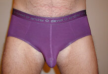 BR - David Archy - Purple (L) (1).JPG