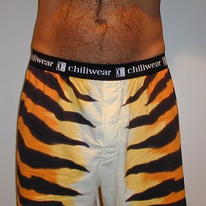 BO - Chiliwear Tiger (11).JPG