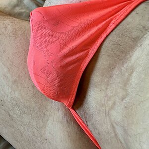 IMG_3353.jpeg