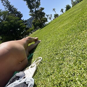 IMG_3843.jpeg