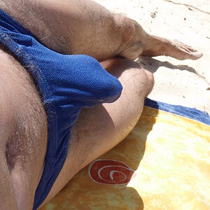PR vaca  day dreaming 01.JPG
