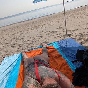 Beach day