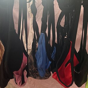 The collection