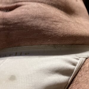 IMG_3475.jpeg