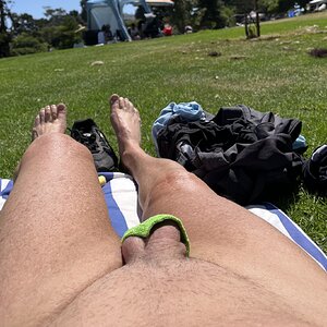 IMG_4447.jpeg