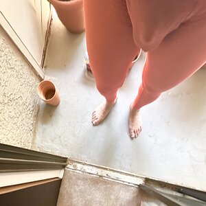 N2N sheer tight.jpeg
