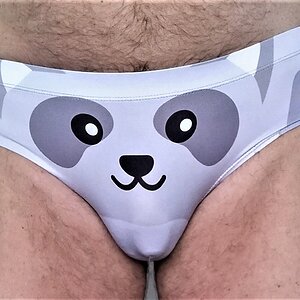 Raccoon brief from D.M