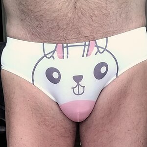 'Bunny Rabbit' briefs from D.M - front view