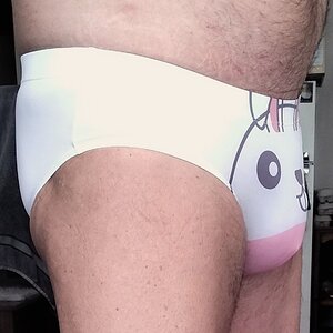 brand new 'Bunny Rabbit' briefs from D.M - side view