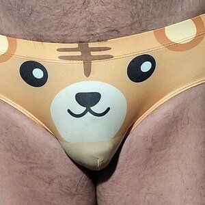Tiger briefs from D.M.