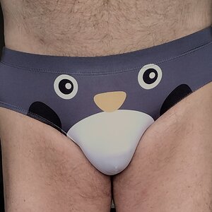 Penguin briefs from D.M.