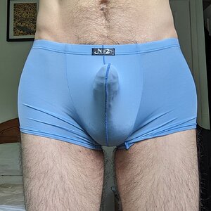 Blue pouch trunks