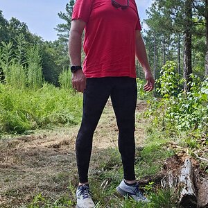 Walking in the woods