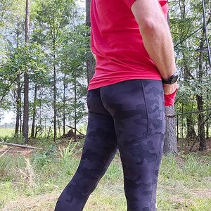 Walking in the woods