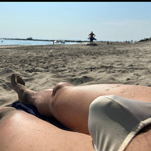 This summer