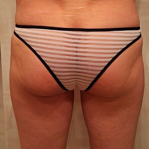 Bikini sheer stripe.jpg