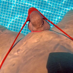 TaLa triangle transparent red (8).jpg